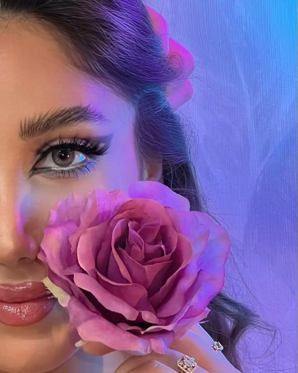 5dbde519 e01f 473e b48c 30627219d80b